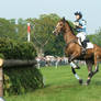 Badminton 2011