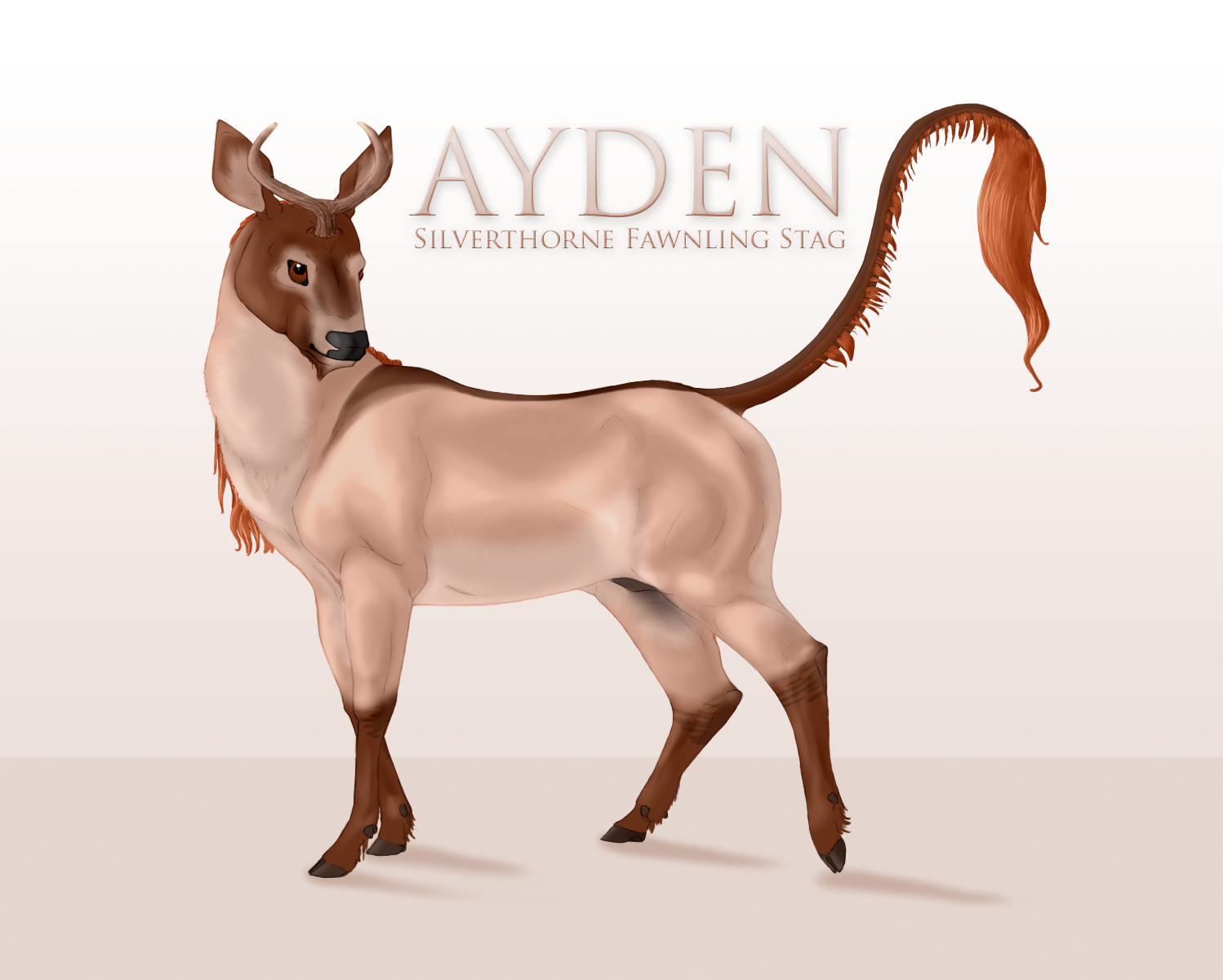 Ayden