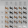 Fawnling Colour Chart
