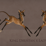 Drustan x Elara Foal Design