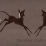 Drustan x Lady Fae Foal Design 761