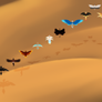 Desert Sweep