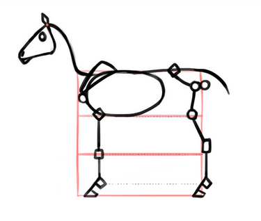 Horse Skeleton Proportions