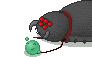 My new pet