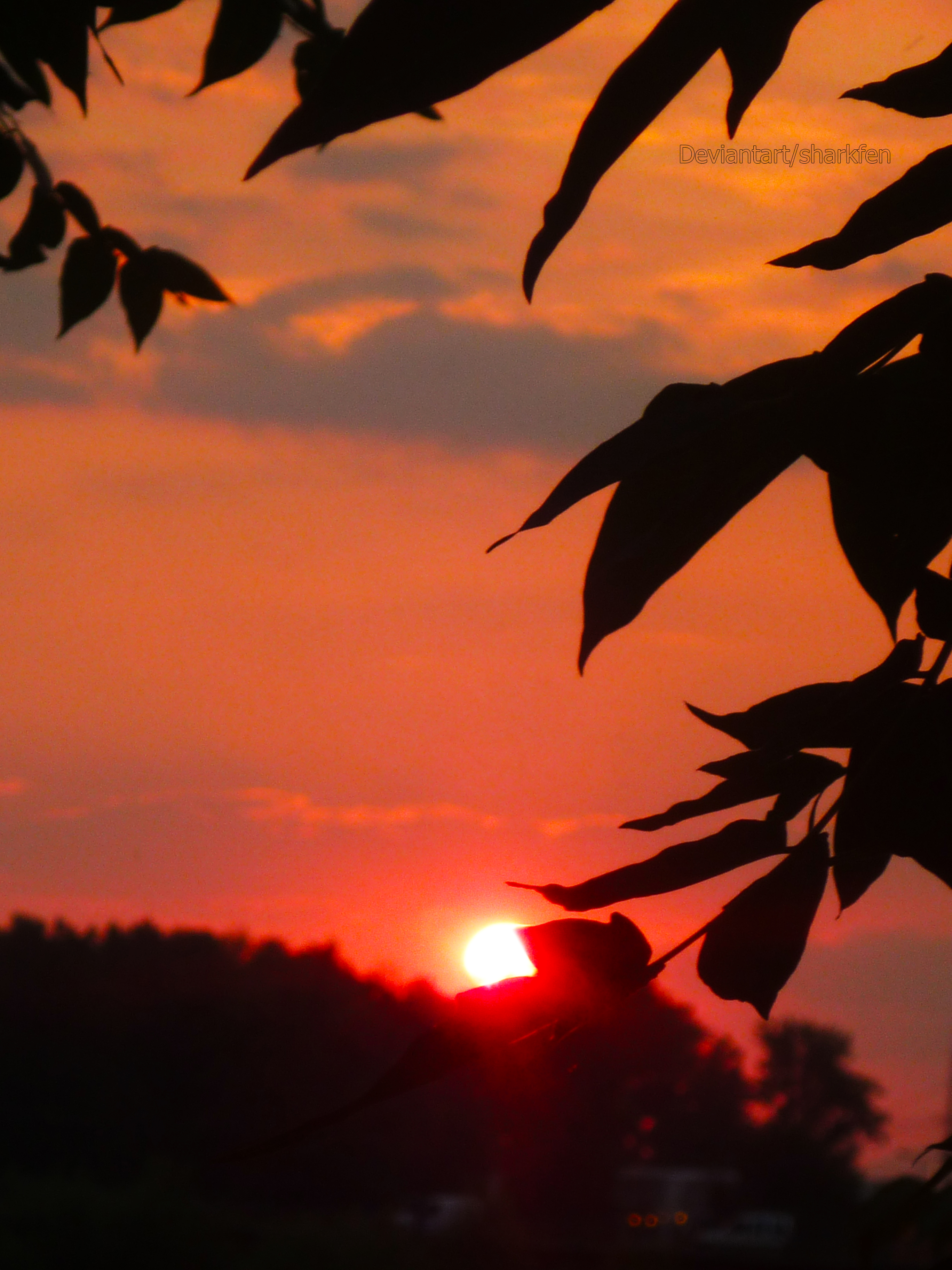 Red Sunset