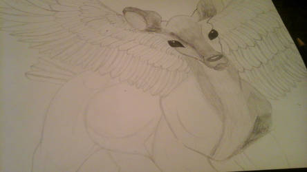 Fawn-winged-owl-thingy WIP