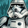 SW Stormtrooper 17