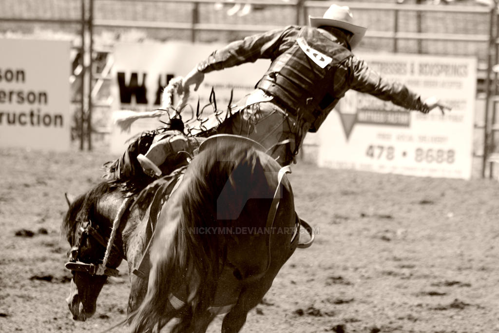 Hamwl Rodeo Hamel Rodeo Bronc Rider 2 by NickyMN on DeviantArt