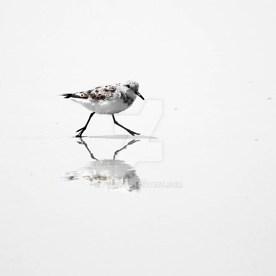 Run Square by tyu4 on DeviantArt