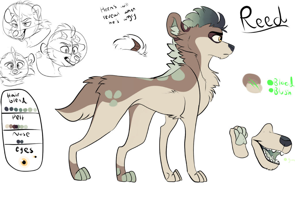 Character reference - Reed by LucifersUmbreon on DeviantArt