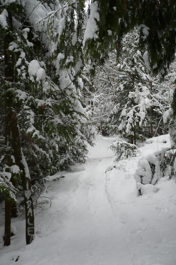 dale by Robowan on DeviantArt