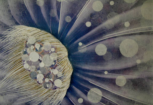 Robowan User Profile | DeviantArt