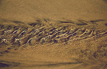 Robowan User Profile | DeviantArt