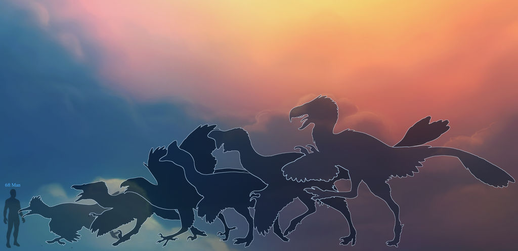 Sizechart by ashenantlers Sizechart by ashenantlers