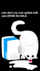 cats don't cry over spilled milk