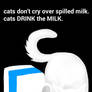 cats don't cry over spilled milk