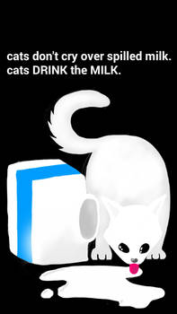 cats don't cry over spilled milk