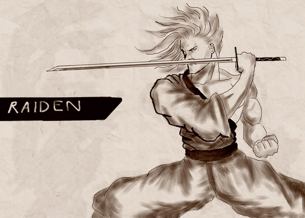 Samurai Raiden by splintercell323 on DeviantArt