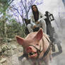 Pig2