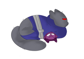 Meow
