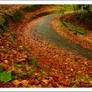 Autumn Roads