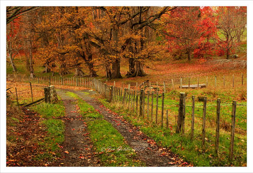 Taihape Farm