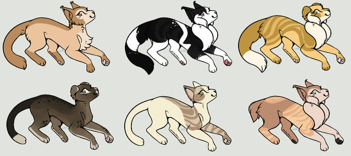 Adopt Batch 2