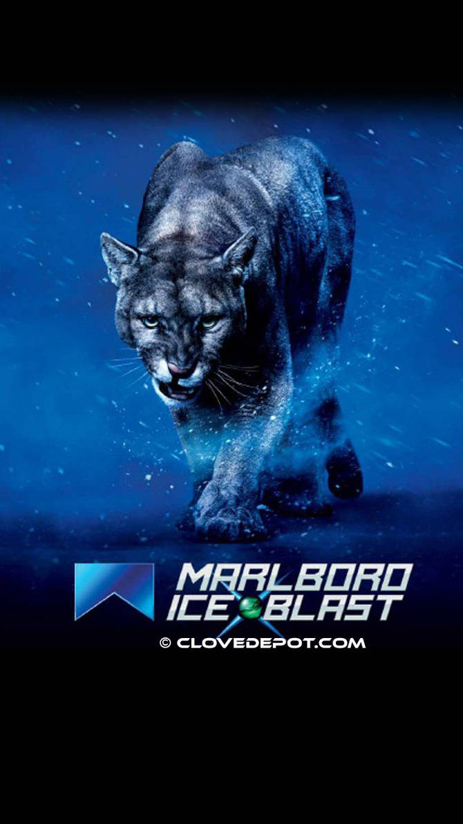 Marlboro Ice Blast Tiger Wallpaper For Iphone 6 By Clovecigarette On Deviantart Marlboro Ice Blast Tiger Wallpaper For Iphone 6 By Clovecigarette On Deviantart