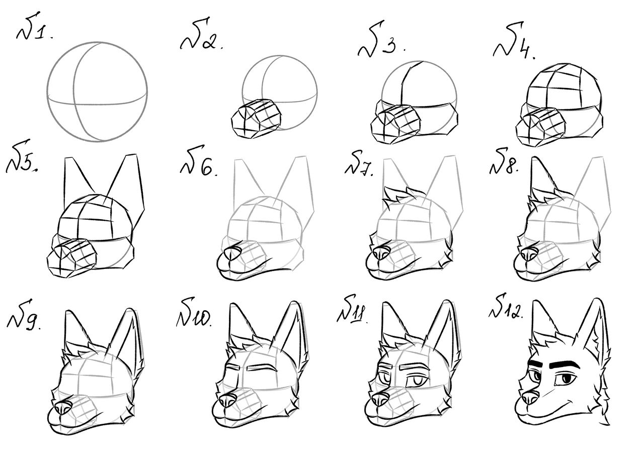 How to draw furry fox by LouieAus on DeviantArt