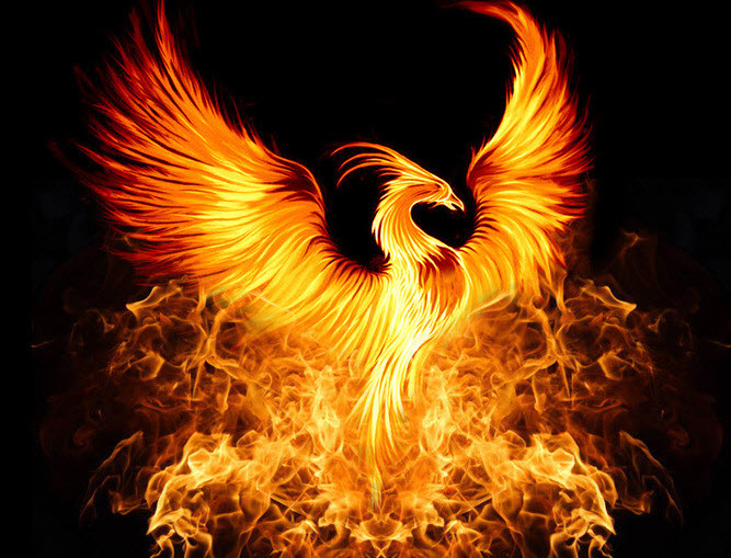 The Phoenix of Decay by scoobadex on DeviantArt