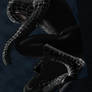 Symbiote Spiderman