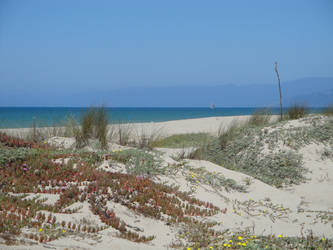 Sailboat and a Sandy beach