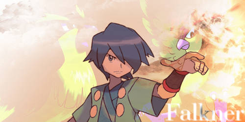 Pokemon: Falkner Banner