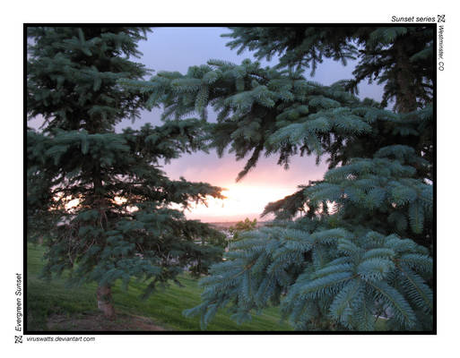 Evergreen Sunset