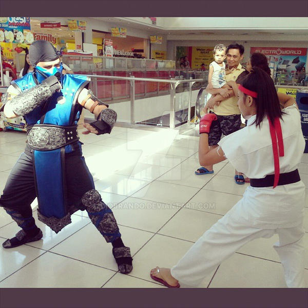 Sub Zero Vs Ryu Sub-Zero VS female Ryu by DioBrando on DeviantArt