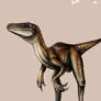 Deinonychus