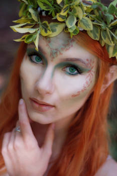 dryad