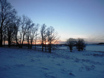 The Abnormal Minnesota Winter