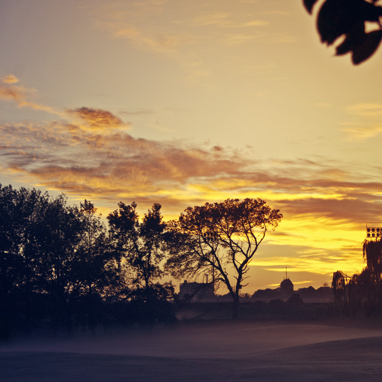 mist morning