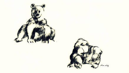 Paper Bears