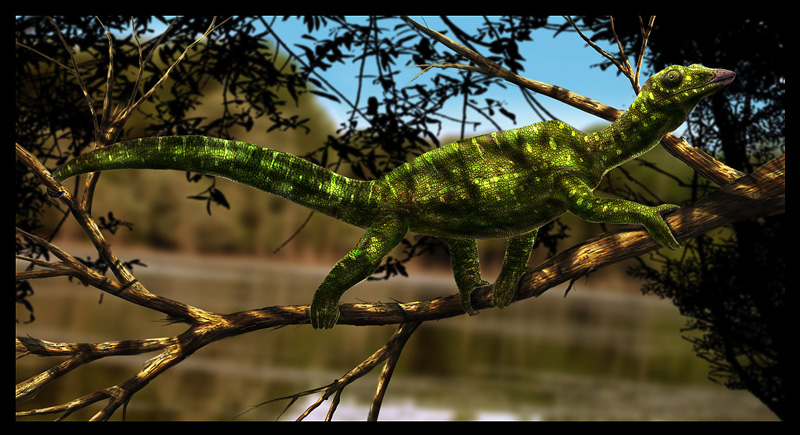 Megalancosaurus preonensis