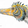 Feathered Velociraptor