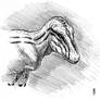 Daspletosaurus torosus