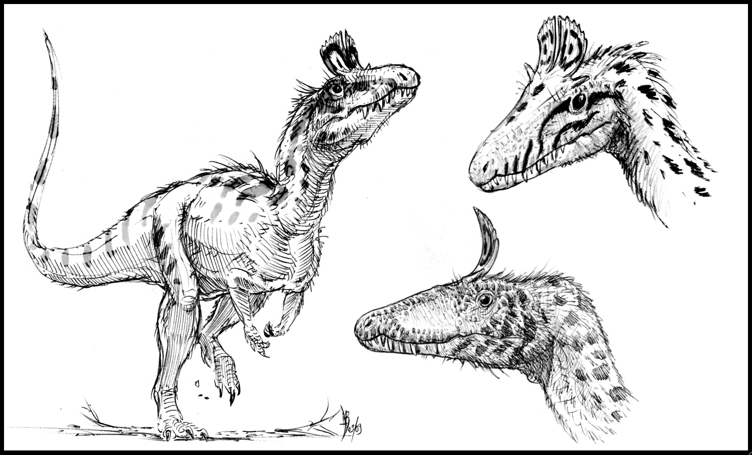 Cryolophosaurus study