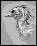 Archaeopteryx head study