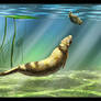Messel underwater wildlife