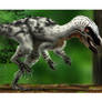 Sinosauropteryx vs Jeholodens