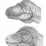 Trex heads variations