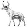 Sivatherium