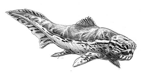 Dunkleosteus